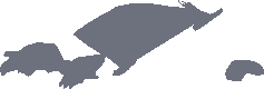 Shadow